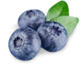 Blueberries.png